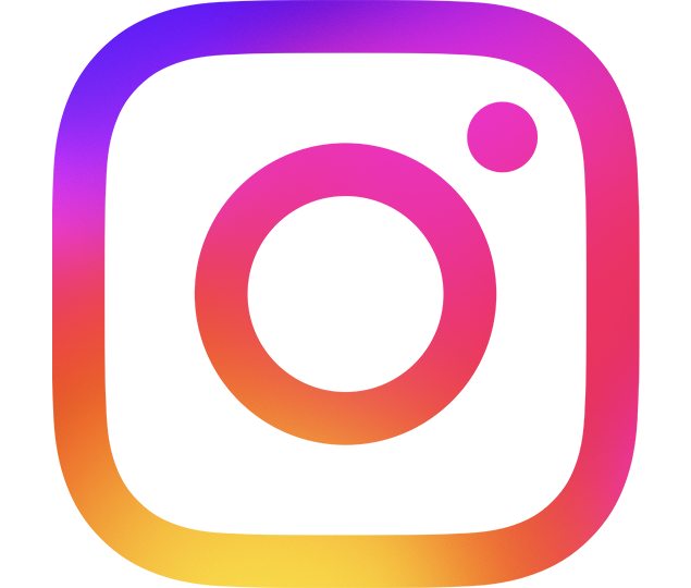 ig icon