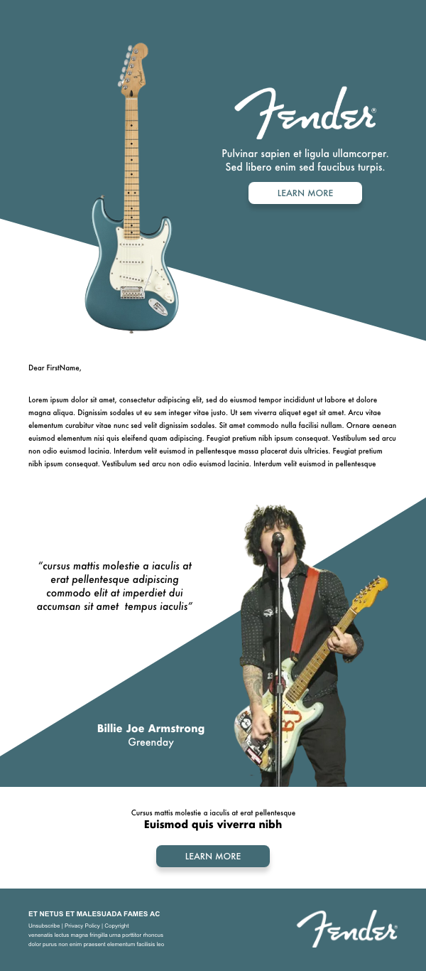 Fender email ads