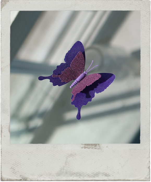 butterfly